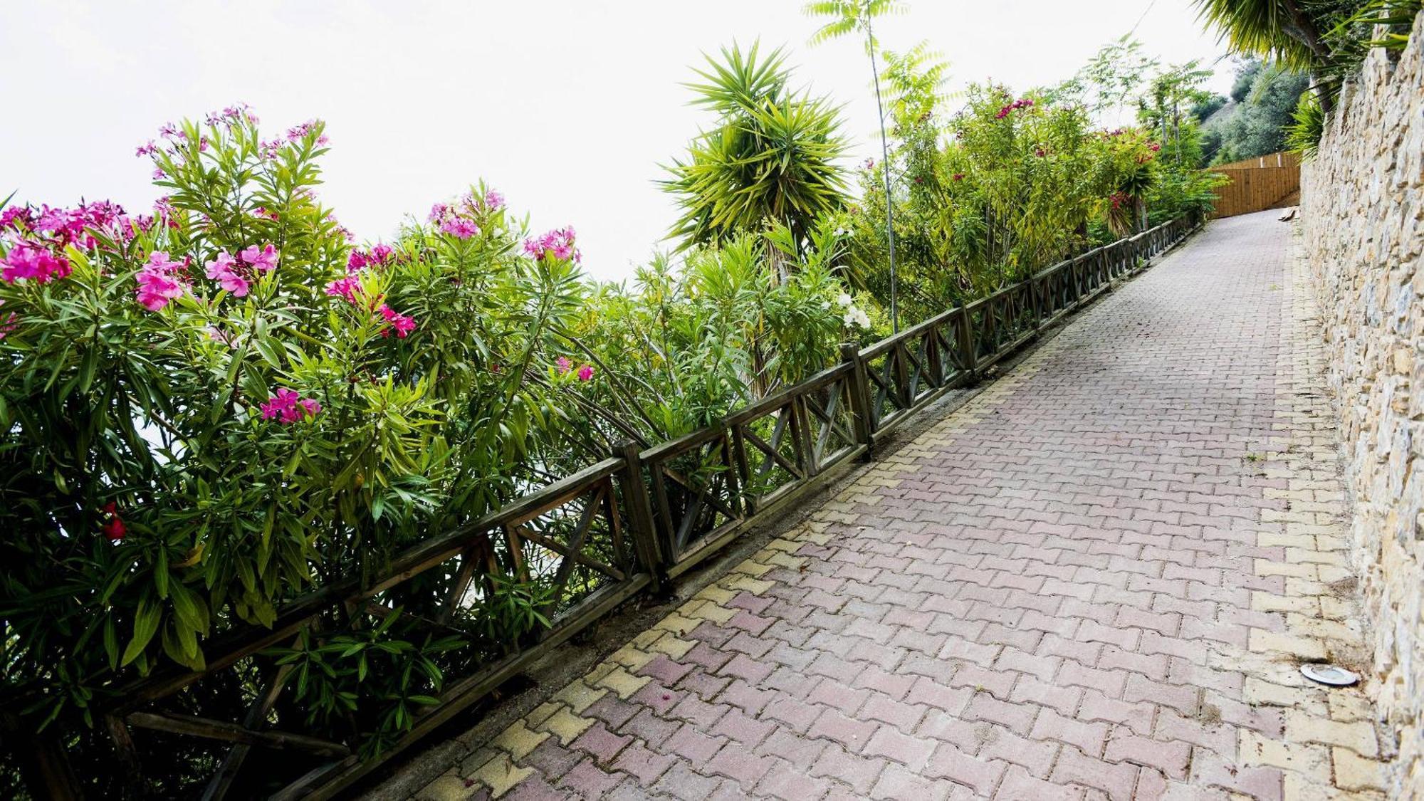 דירה Penelope's Blue Sea Front Residenses Ília