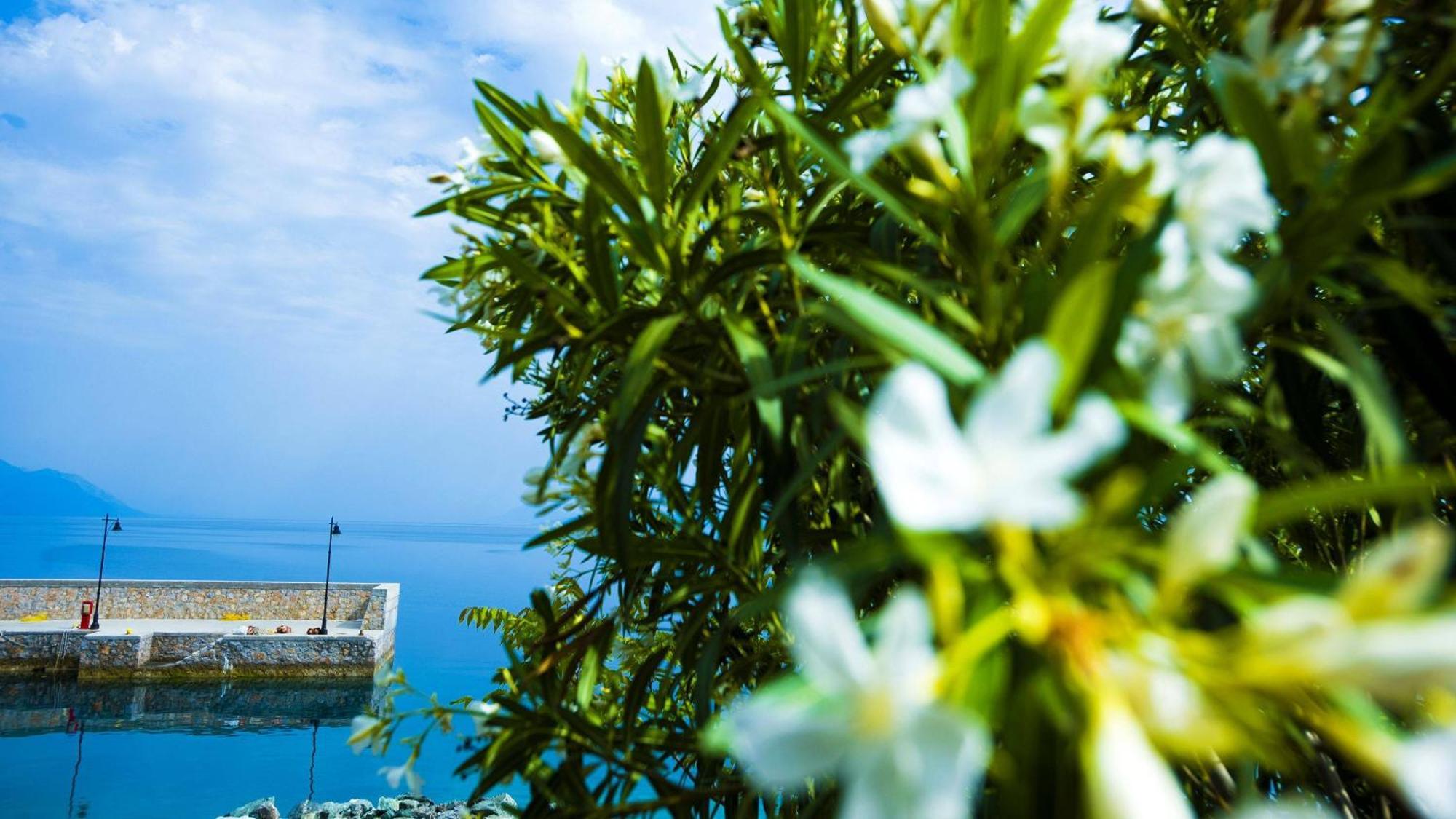 Penelope's Blue Sea Front Residenses